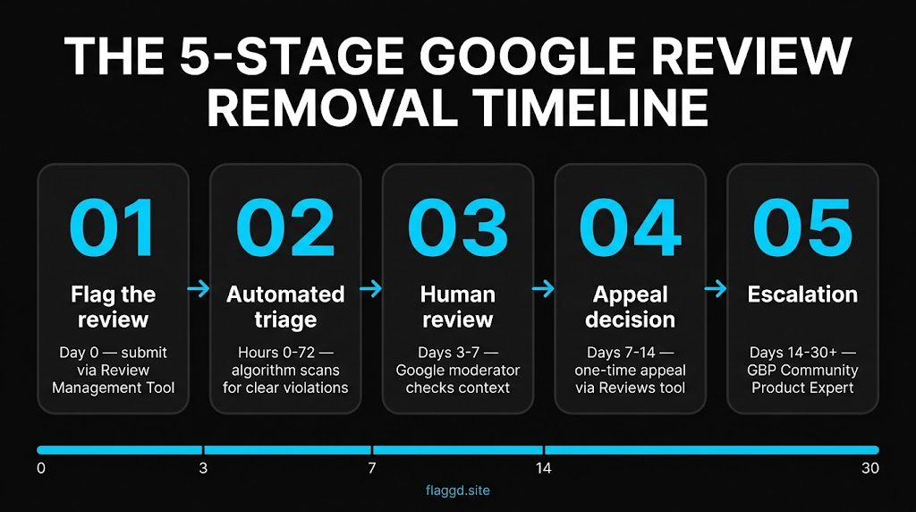 The 5-stage Google review removal process pipeline
